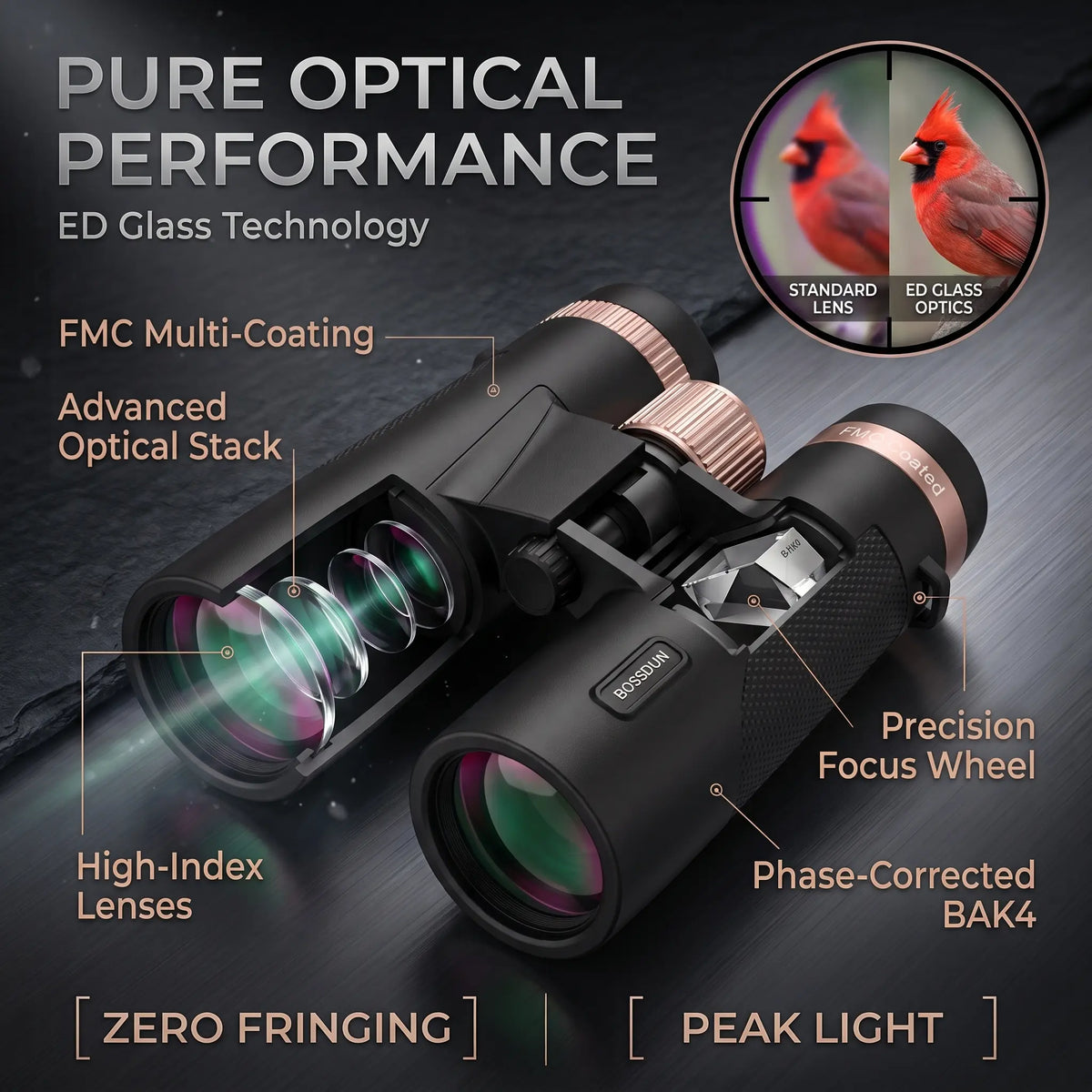 12x42 ED Waterproof Binoculars
