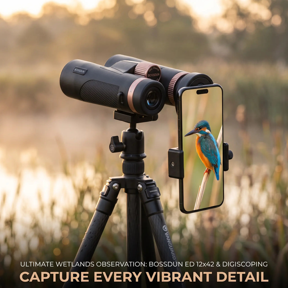 12x42 ED Waterproof Binoculars