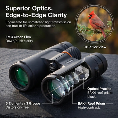 Black binoculars with green-tinted lenses on a dark stone surface, overlaid with marketing text and callouts about optics, clarity, FMC Green Film, 5 elements, 3 groups, optical precise BAK4 roof prism, and true 12x view. A small inset shows a red cardinal perched on a branch.
