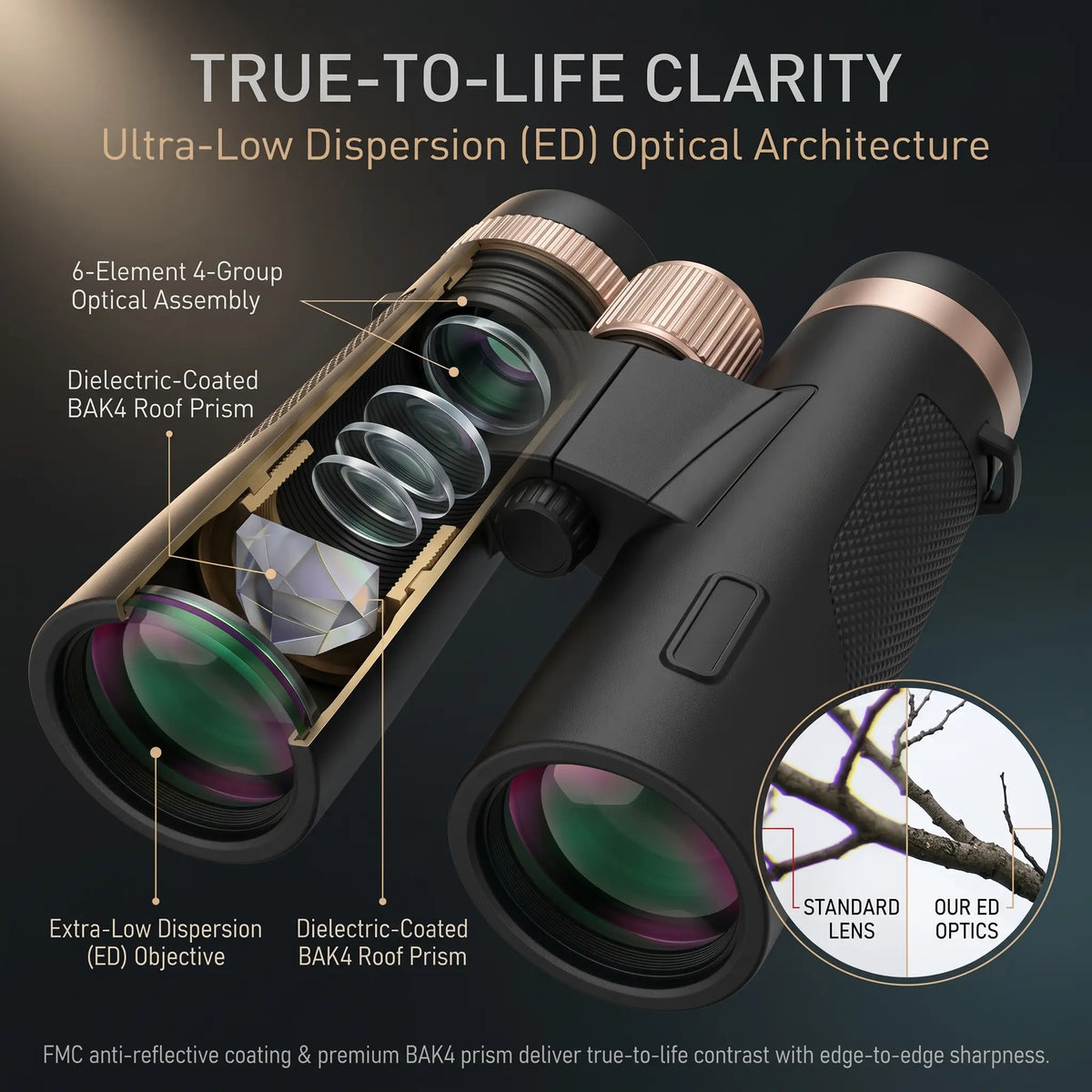 Black binoculars with rose-gold accents and labeled technical callouts explaining ultra-low dispersion ED optical architecture, including dielectric-coated BAK4 roof prism and extra-low dispersion ED objective, on a dark gradient background.
#color_black